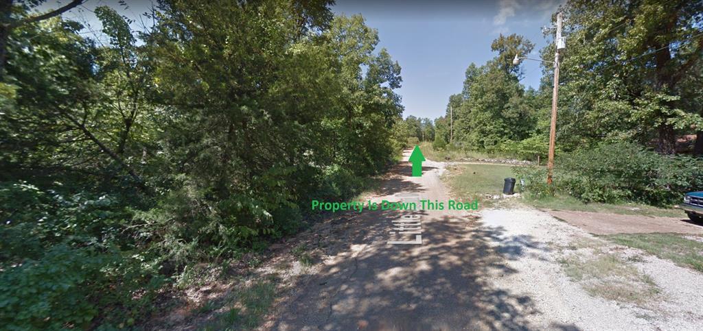 Lot 13  Abbey Road Other Arkansas 72542, 81