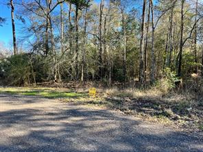 00 Hunters trail, New Caney, TX, 77357
