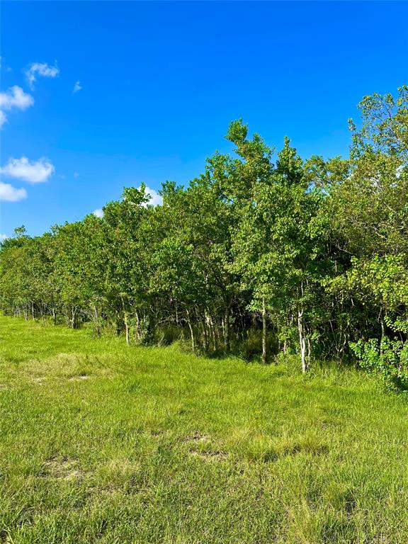 Lot 4 Hummingbird Lane Hempstead Texas 77445, Hempstead Lot 4 Hummingbird Lane Hempstead Texas 77445, Hempstead