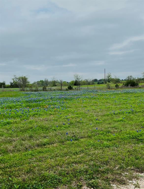 455  Century Farms Road Burton Texas 77835, 58