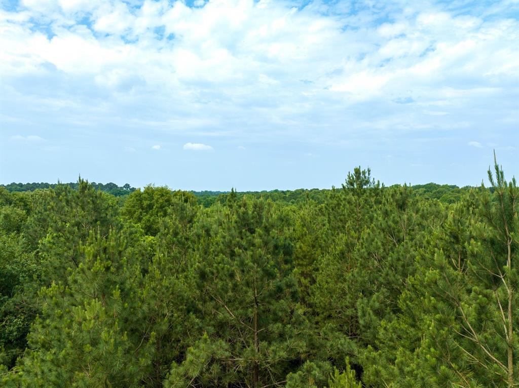 TBD County Rd 4777  , Timpson, Texas image 16