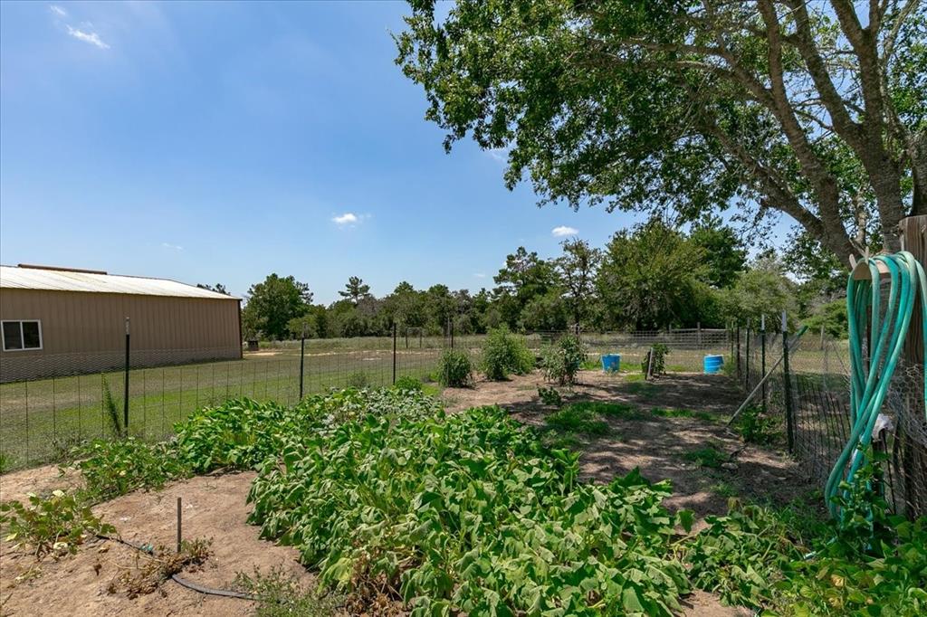 fenced garden