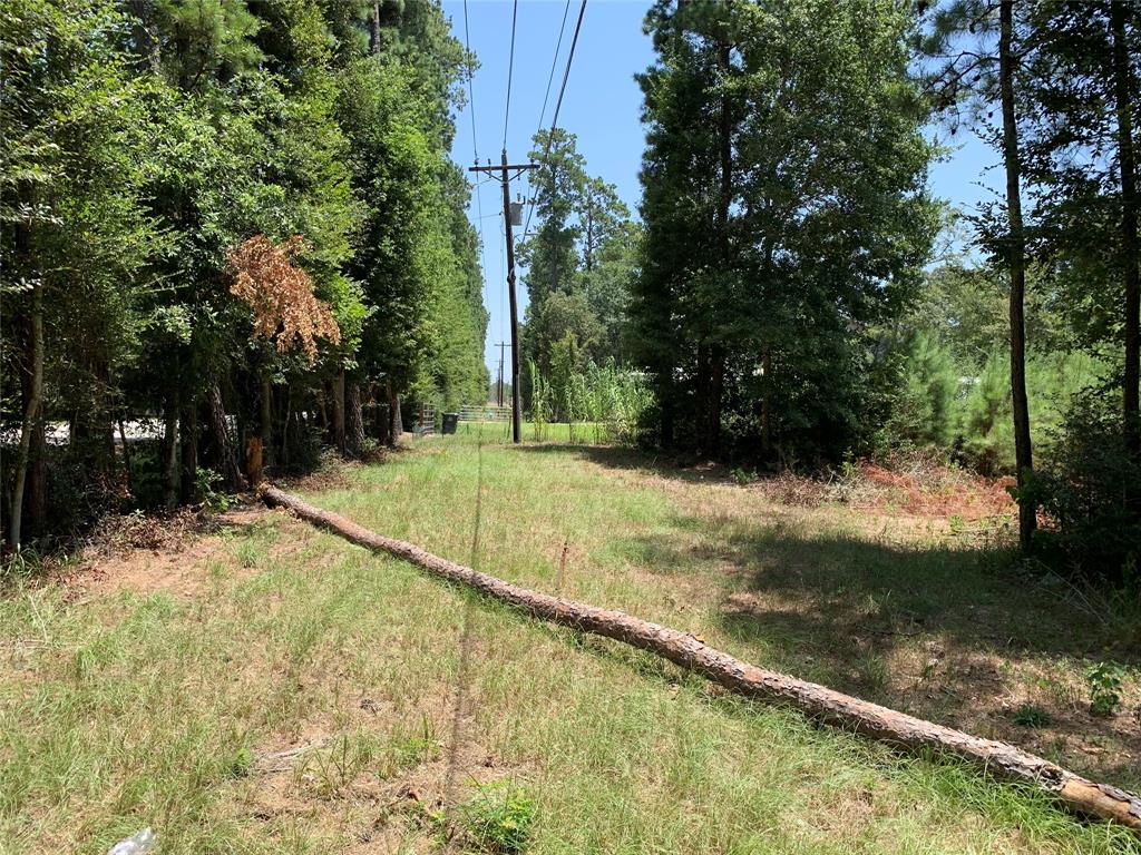 26475 Joseph Rd, Hockley, TX 77447