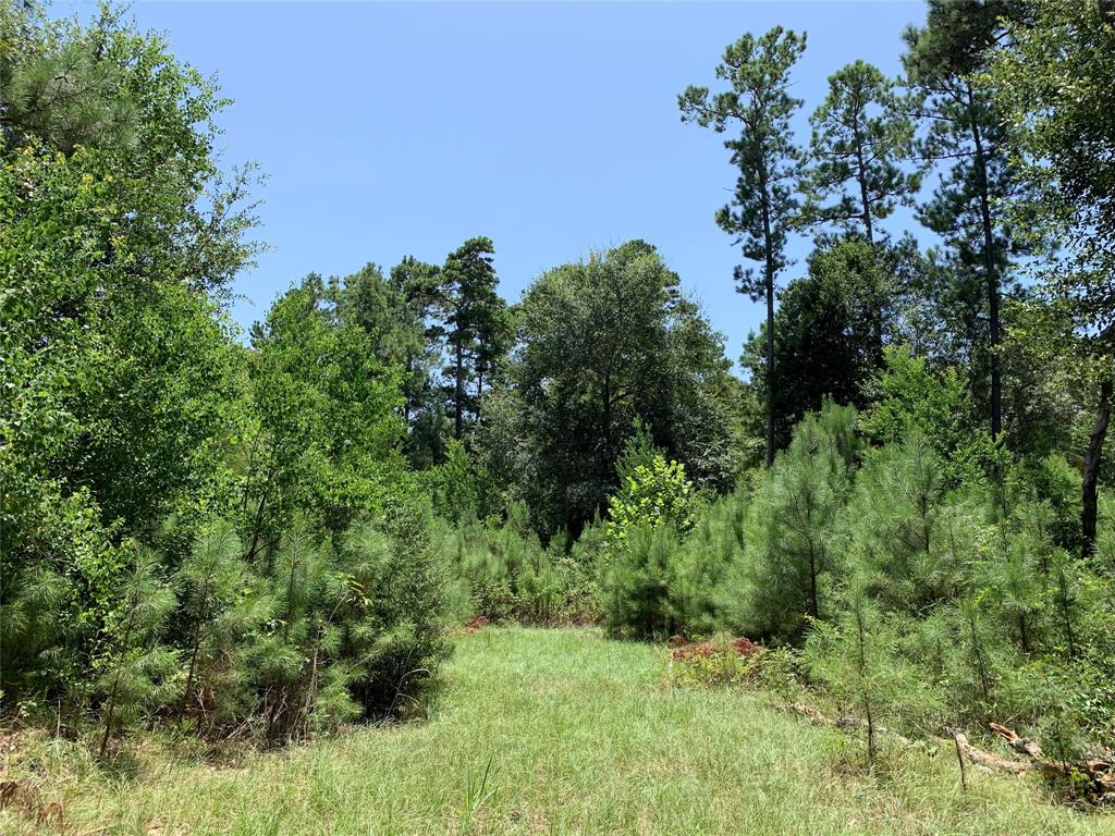 26475 Joseph Rd, Hockley, TX 77447