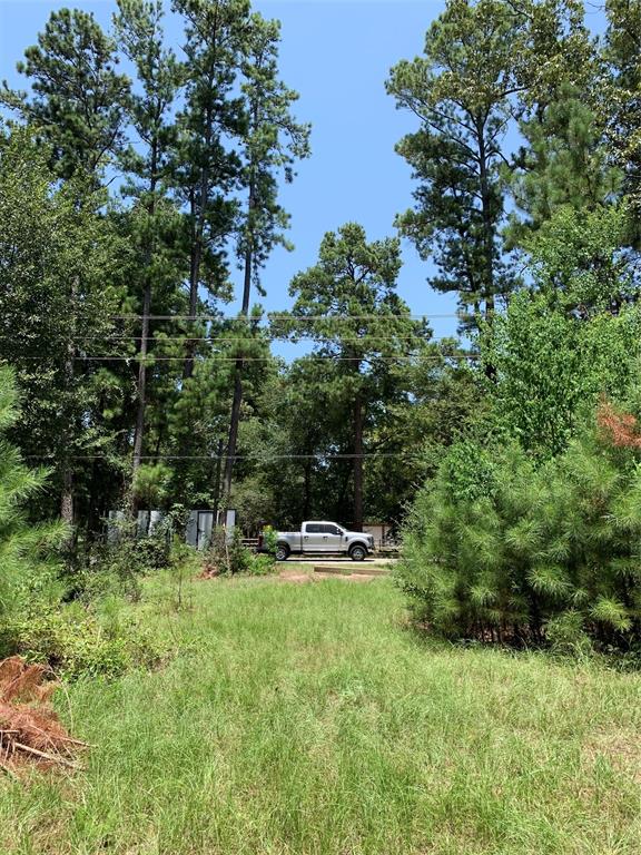 26475 Joseph Rd, Hockley, TX 77447