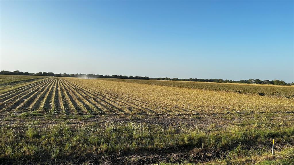 County Rd 384  , Louise, Texas image 7