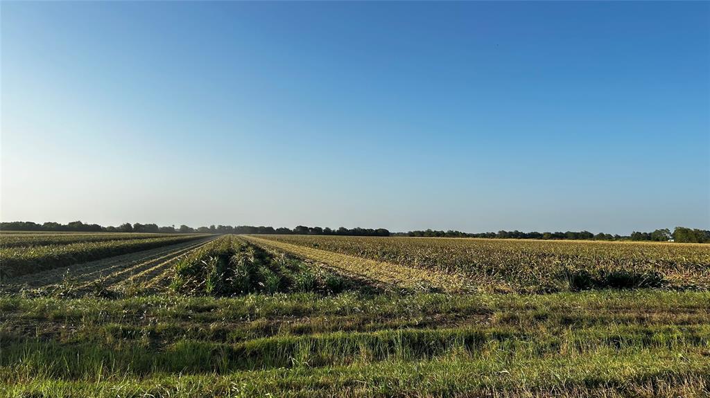 County Rd 384  , Louise, Texas image 8