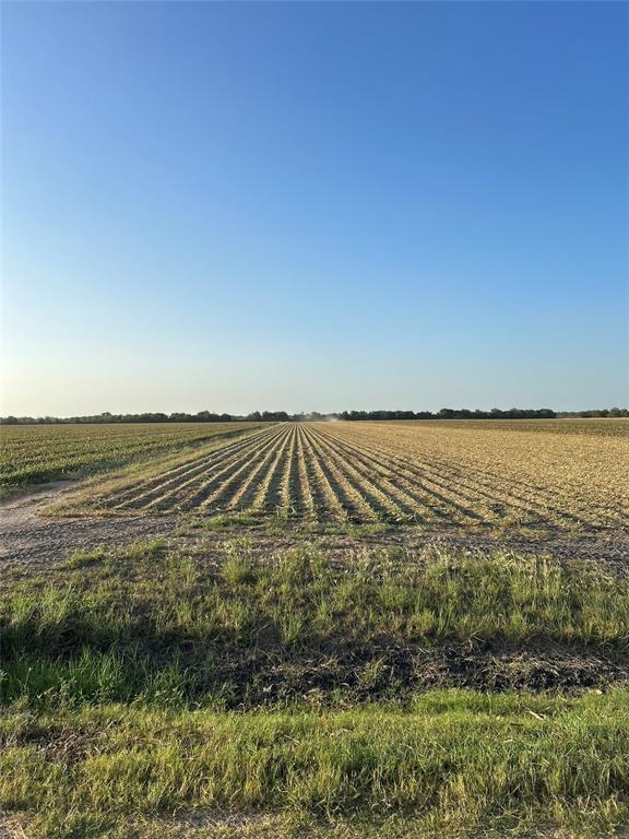County Rd 384  , Louise, Texas image 10