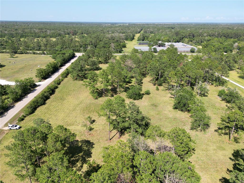 00 COUNTY ROAD 196, Liverpool, TX 77577
