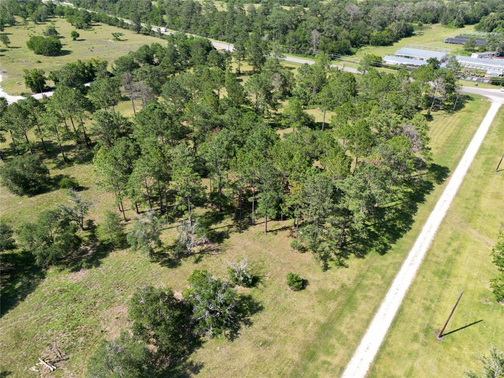 00 County Road 196  , Liverpool, Texas image 8