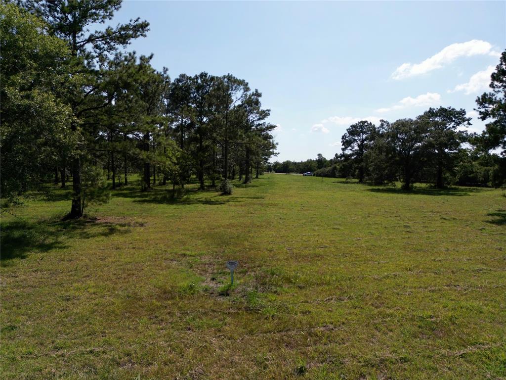 00 County Road 196  , Liverpool, Texas image 10