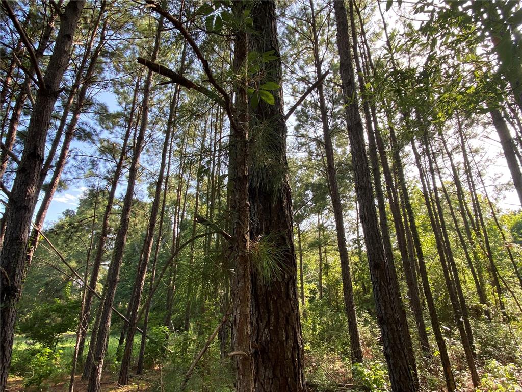 220 Glendale Church Rd, Groveton, TX 75862