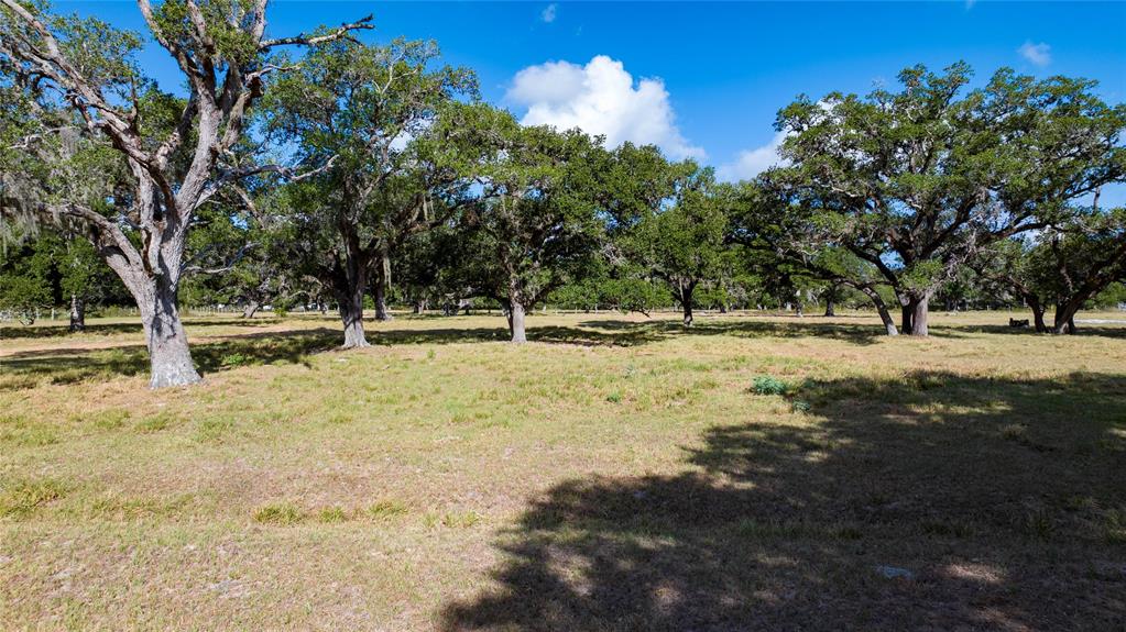 8051 County Road 283  , Edna, Texas image 9