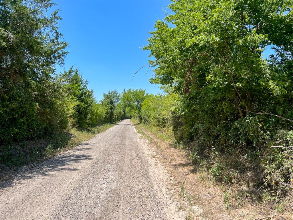 06  Private Road off 3625A  Lovelady Texas 75851, 41