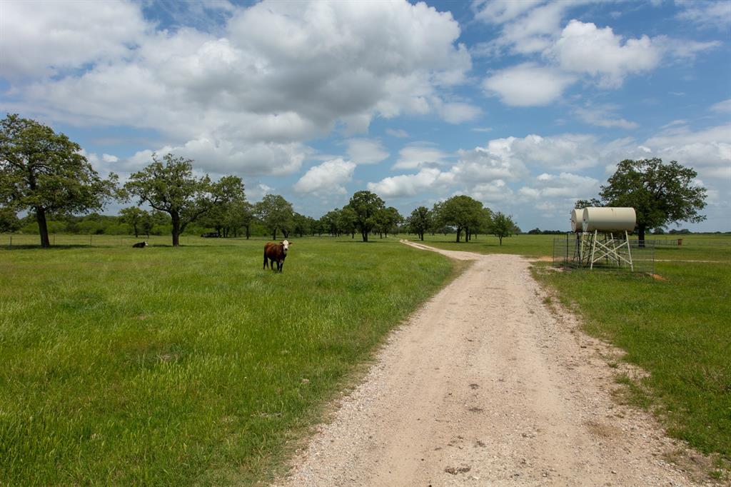 1595 Highway 95  S, Smithville, Texas image 46