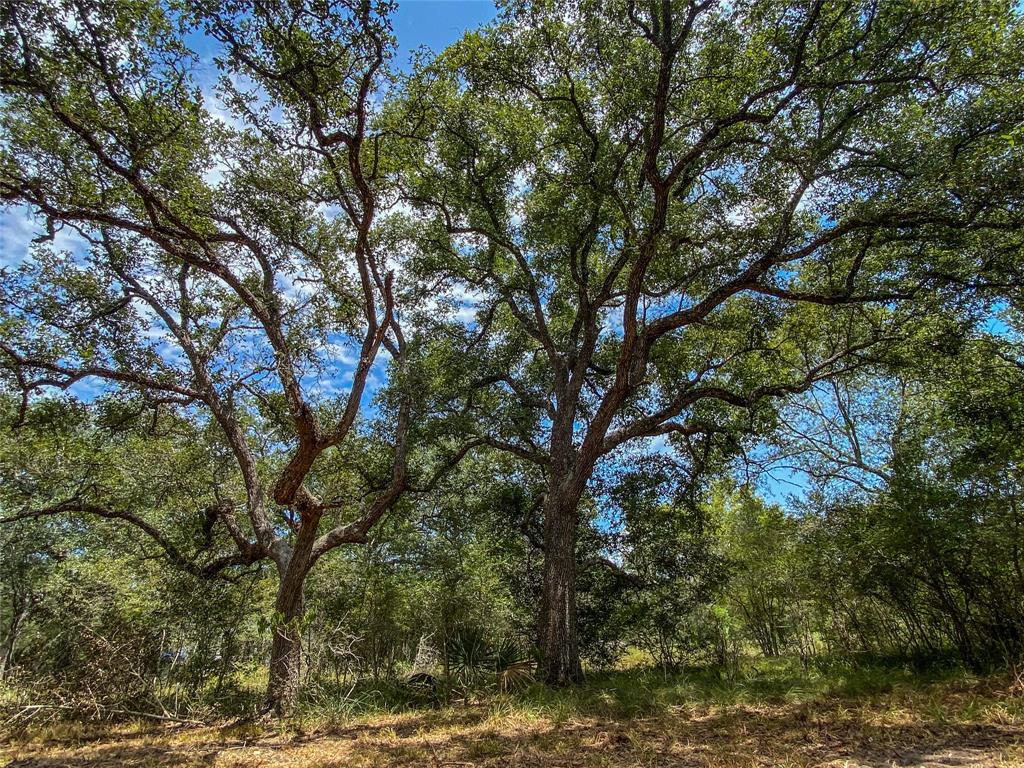 000 Fm 3156  , Van Vleck, Texas image 12