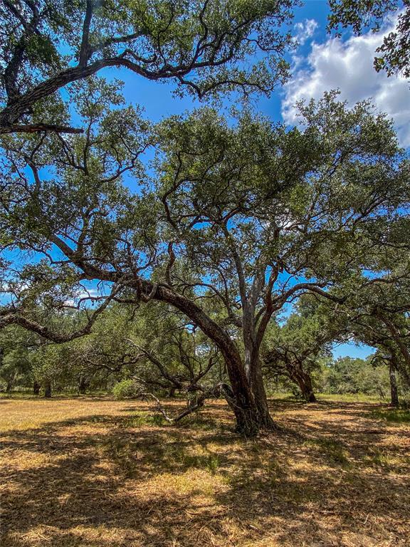 000 Fm 3156  , Van Vleck, Texas image 13