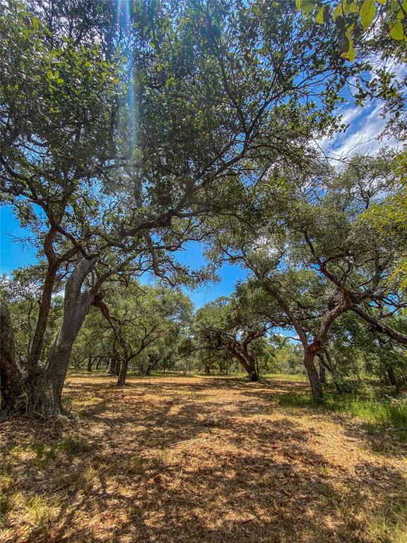 000 Fm 3156  , Van Vleck, Texas image 14