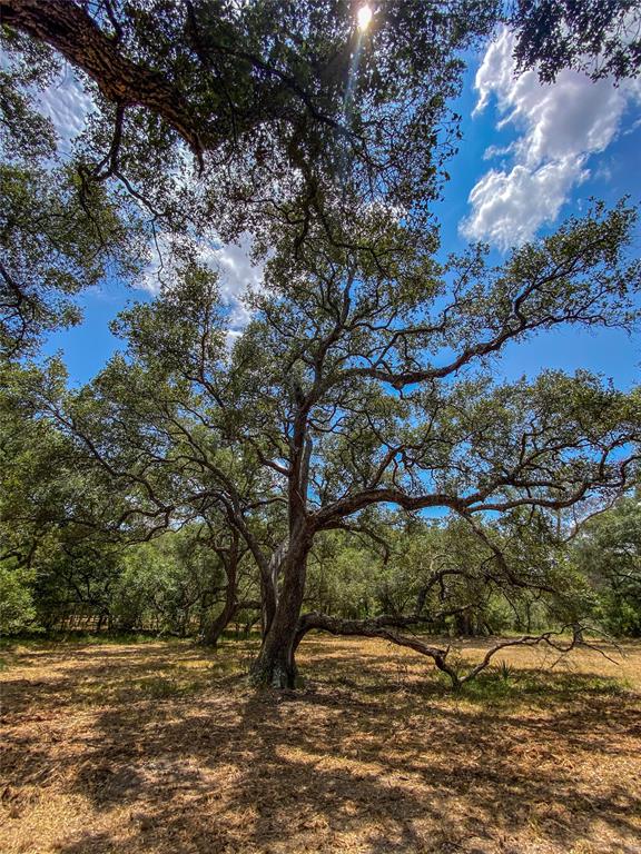 000 Fm 3156  , Van Vleck, Texas image 15