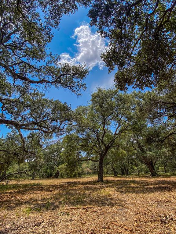 000 Fm 3156  , Van Vleck, Texas image 16