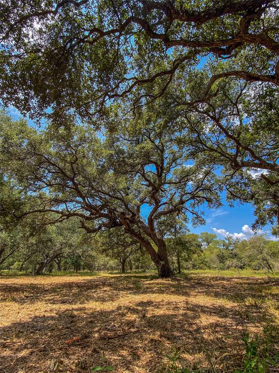 000 Fm 3156  , Van Vleck, Texas image 17