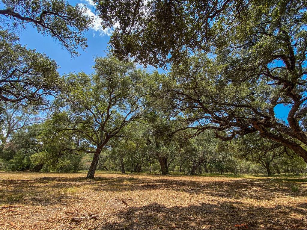 000 Fm 3156  , Van Vleck, Texas image 18