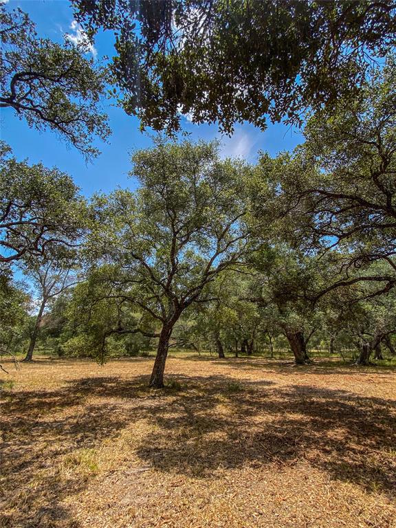 000 Fm 3156  , Van Vleck, Texas image 19