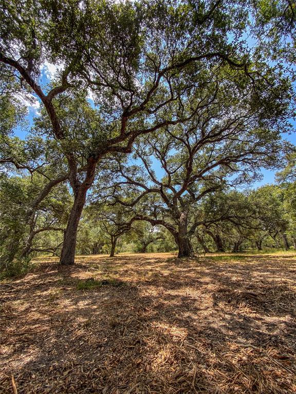 000 Fm 3156  , Van Vleck, Texas image 21