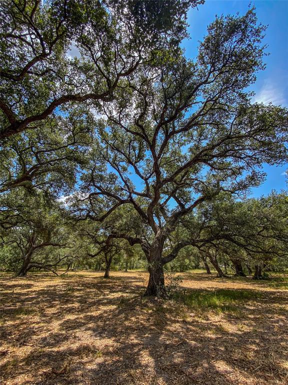 000 Fm 3156  , Van Vleck, Texas image 22