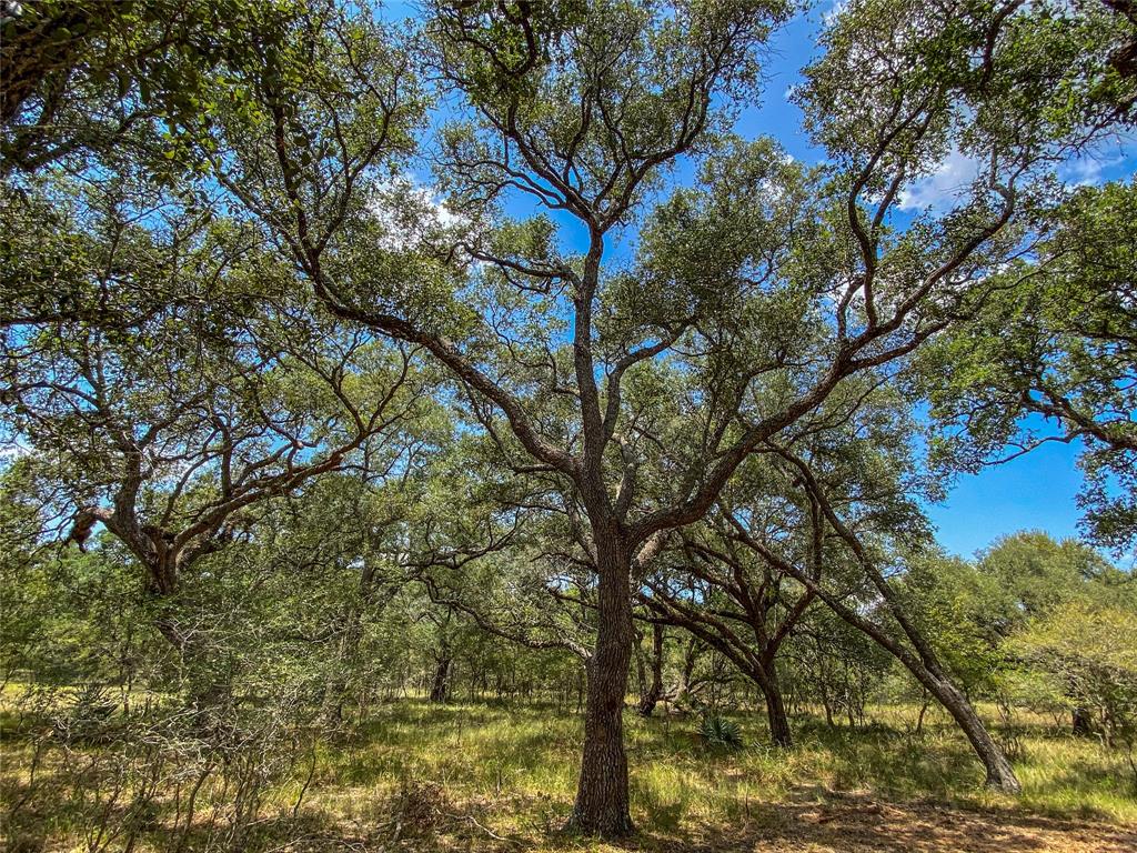 000 Fm 3156  , Van Vleck, Texas image 27