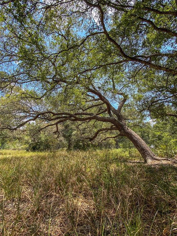 000 Fm 3156  , Van Vleck, Texas image 28