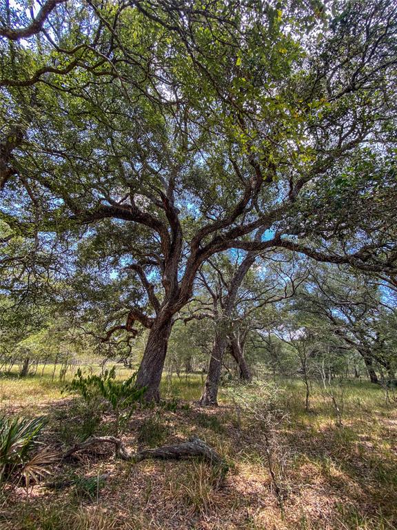 000 Fm 3156  , Van Vleck, Texas image 29