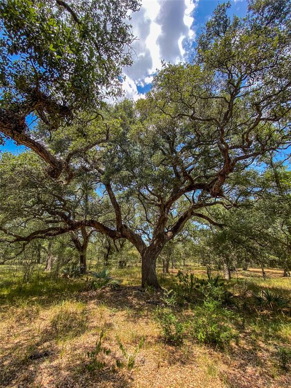 000 Fm 3156  , Van Vleck, Texas image 30