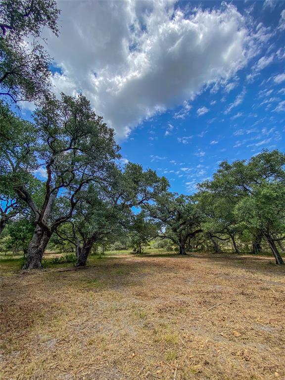 000 Fm 3156  , Van Vleck, Texas image 31