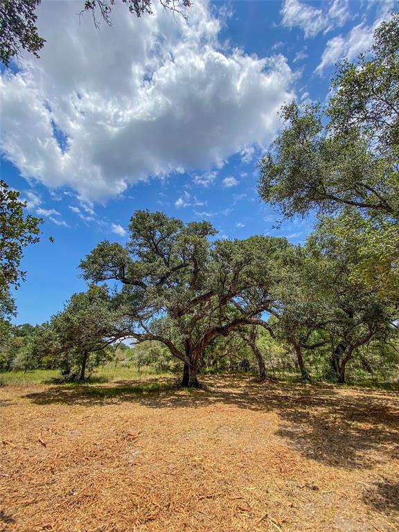 000 Fm 3156  , Van Vleck, Texas image 32