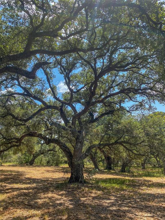 000 Fm 3156  , Van Vleck, Texas image 34