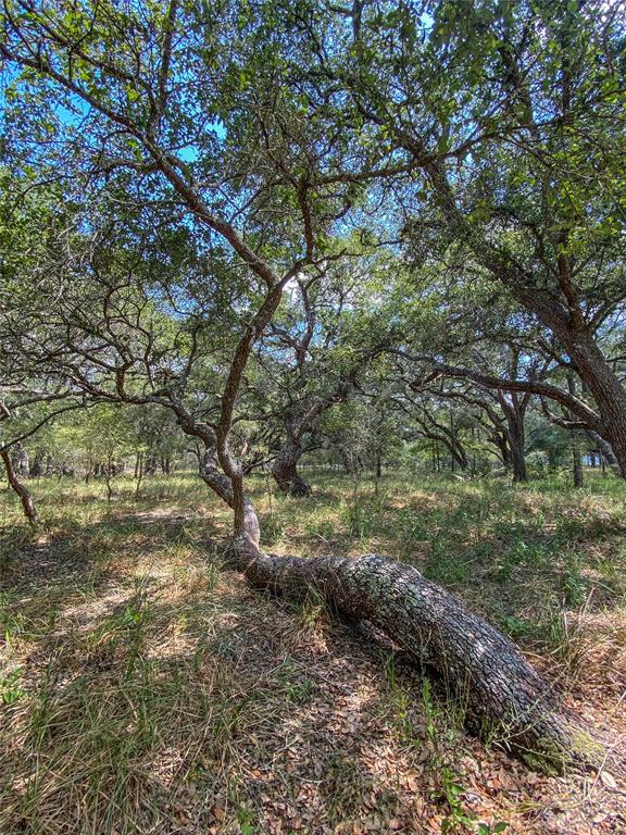 000 Fm 3156  , Van Vleck, Texas image 36