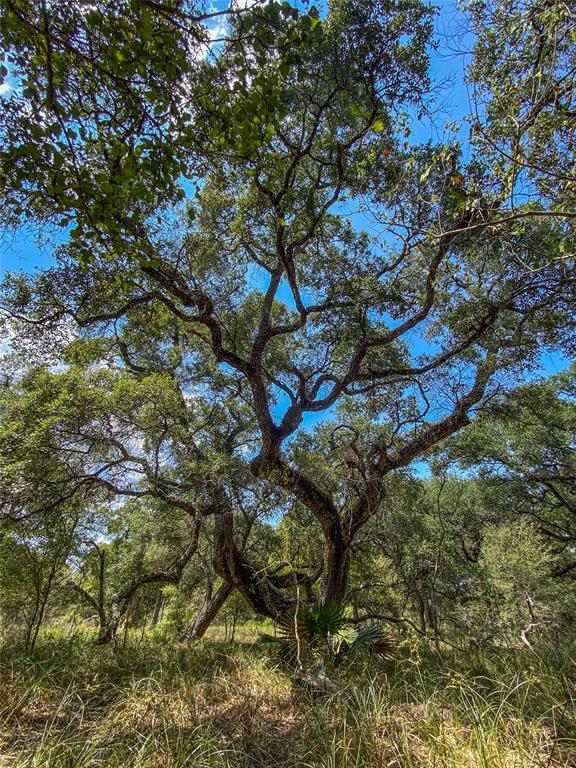 000 Fm 3156  , Van Vleck, Texas image 37