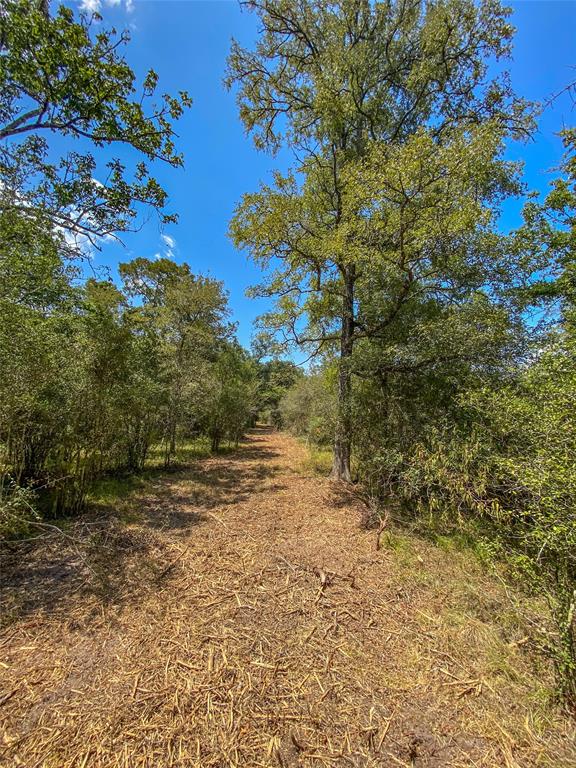 000 Fm 3156  , Van Vleck, Texas image 39