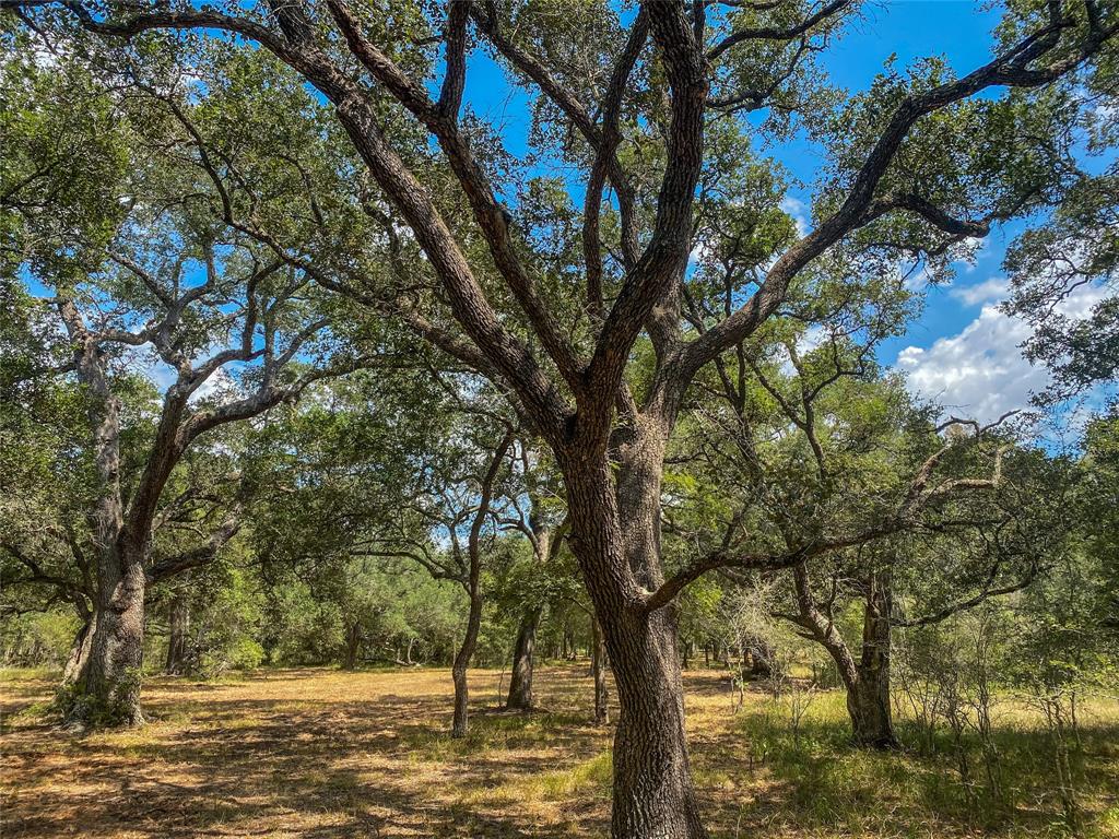 000 Fm 3156  , Van Vleck, Texas image 42