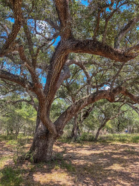 000 Fm 3156  , Van Vleck, Texas image 43