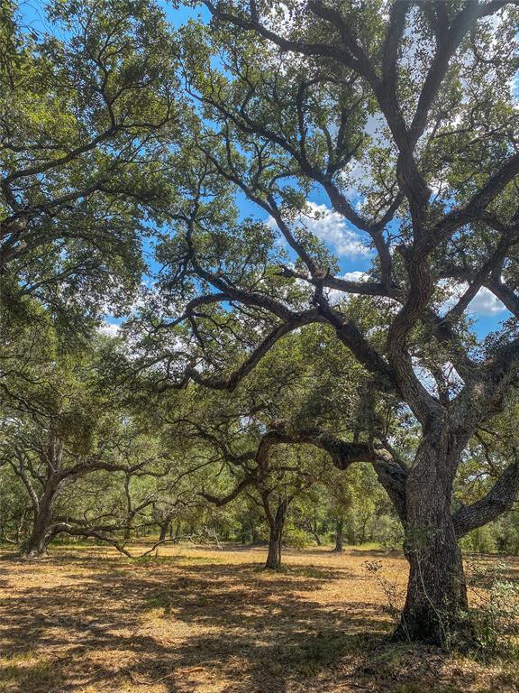 000 Fm 3156  , Van Vleck, Texas image 44