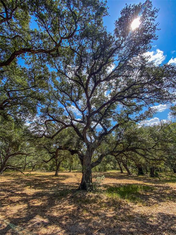 000 Fm 3156  , Van Vleck, Texas image 45