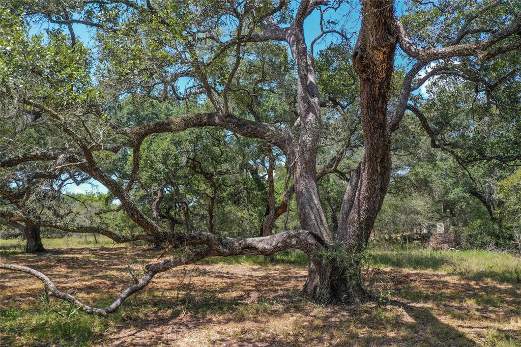 000 Fm 3156  , Van Vleck, Texas image 49