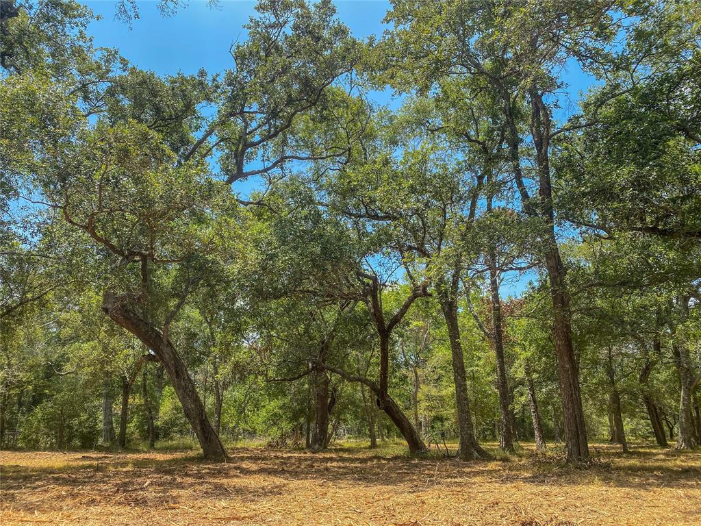 000 Fm 3156  , Van Vleck, Texas image 7