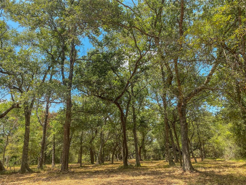 000 Fm 3156  , Van Vleck, Texas image 8