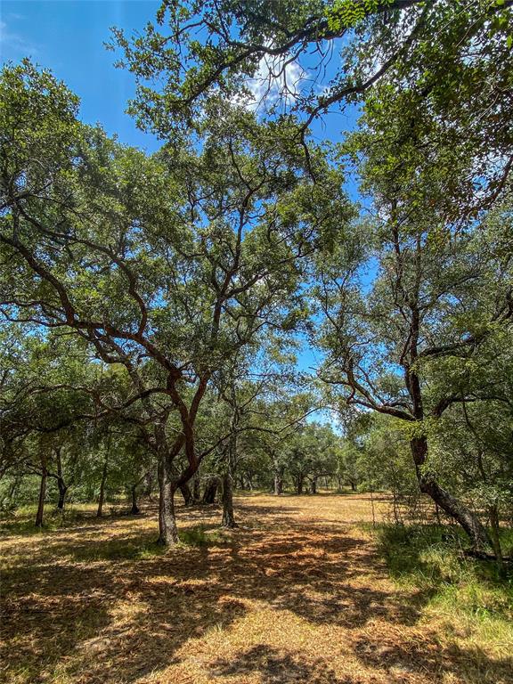 000 Fm 3156  , Van Vleck, Texas image 10