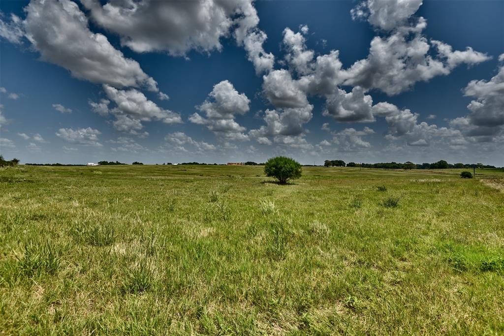 TBD  Pacen Place - Lot 3  Chappell Hill Texas 77426, 57