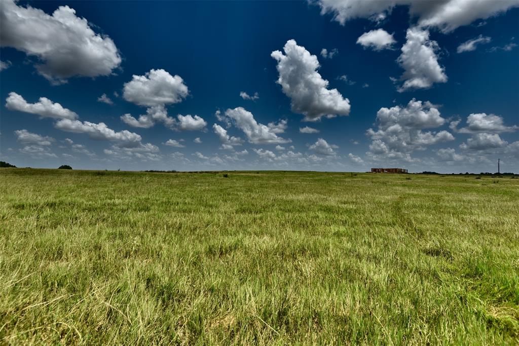 TBD Pacen Place - Lot 3  , Chappell Hill, Texas image 12