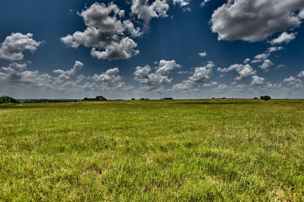 TBD Pacen Place - Lot 3  , Chappell Hill, Texas image 15